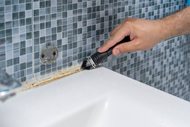 Best Mold Testing  in Homer, AK